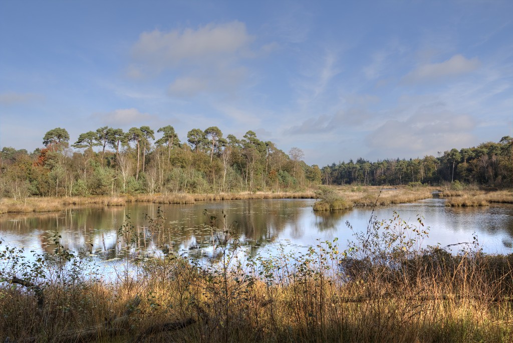 Oisterwijkse Bossen en Vennen Kampina natuurgebied natuur oisterwijk Nationaal park Landschap Het Groene Woud hei heide bossen natuurmonumenten brabant baronie boswachterij dorst
